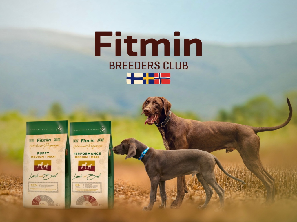 Fitmin Breeders Club banner featuring two pointer dogs in a field, the flags of Finland, Sweden, and Norway, alongside Fitmin Puppy and Performance dog food bags.