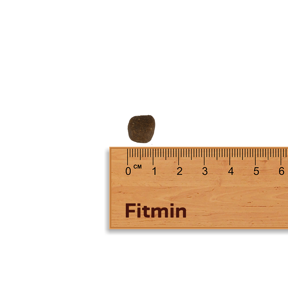 A close-up scale shot of a Fitmin Purity Large Breed kibble piece against a Fitmin wooden ruler. The dark, squared kibble measures approximately 1 cm to 1.2 cm, designed to encourage chewing in larger cat breeds.