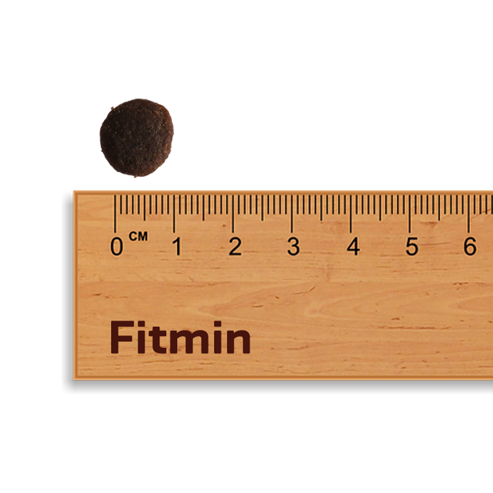 A close-up of a single piece of dark brown, rounded Fitmin Cat Purity Dental kibble. It is placed above a wooden ruler at the zero mark of the centimeter scale, showing a diameter of exactly 1 cm for size reference.