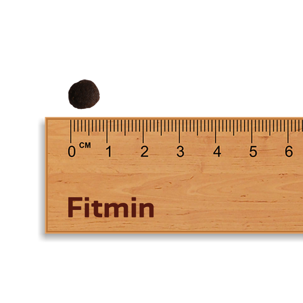 A close-up scale shot showing a single dark, round Fitmin Purity Kitten kibble piece. The kibble measures approximately 0.7 cm to 0.8 cm in diameter against a wooden Fitmin ruler, demonstrating its small size suitable for young kittens.
