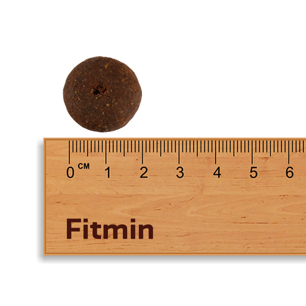 FITMIN Nutritional Program Maxi Senior 12kg