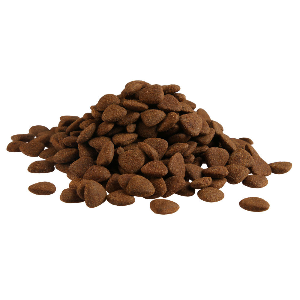 FITMIN Nutritional Program Medium Maintenance 12kg